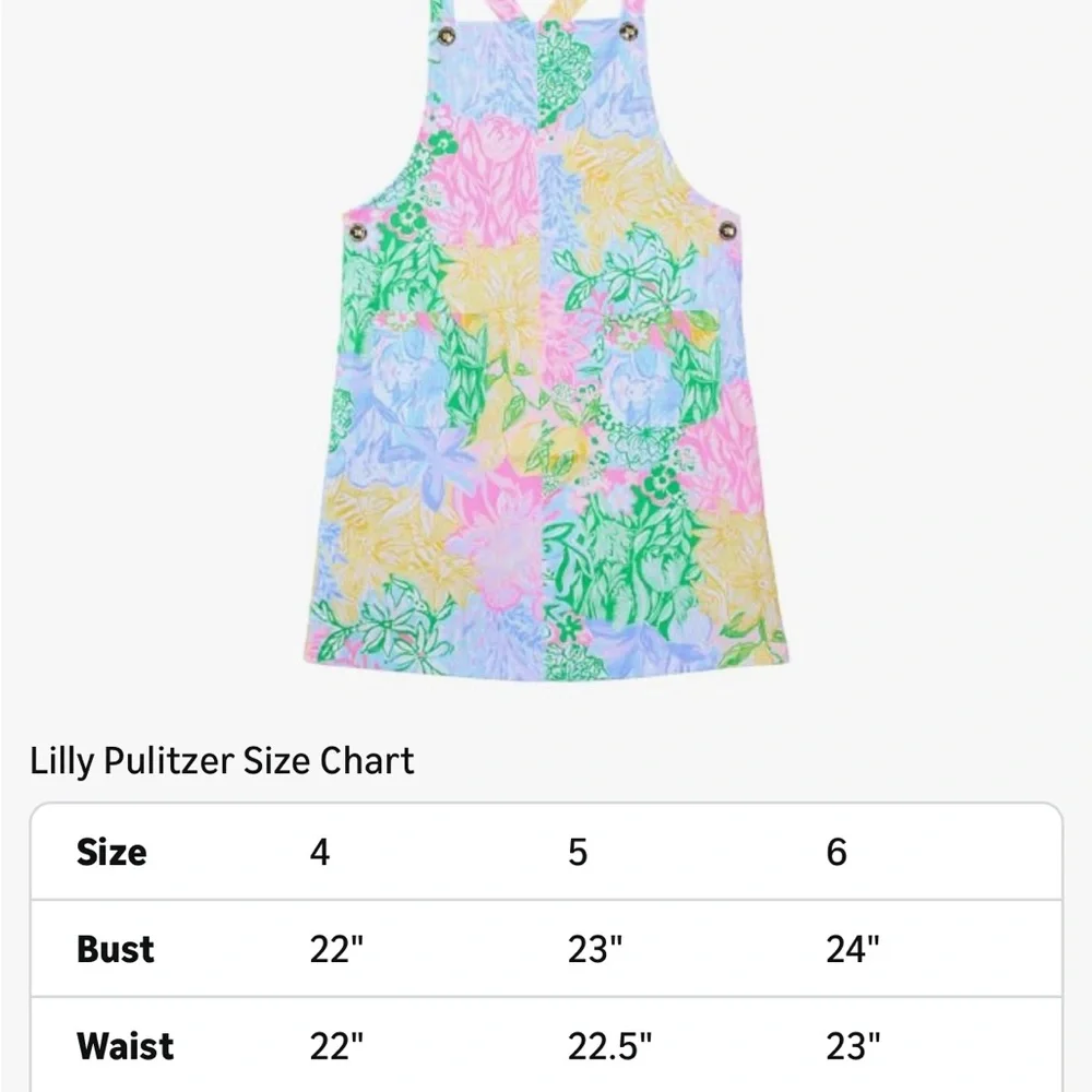 Lilly Pulitzer Varney Dress NWT - Picture 4 of 9